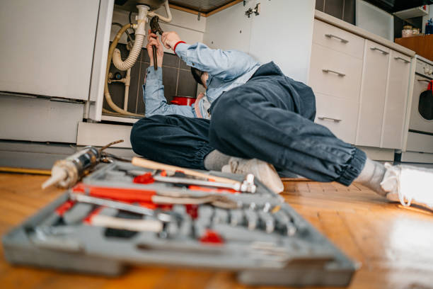 Best Local Plumber Services  in North Port, FL